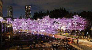 Токио Мидтаун лучшее мето наблюдать за цветущей сакурой