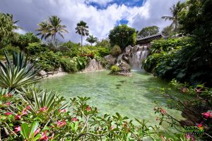 волшебный Ботанический сад - куд сходить во время отдыха в Гваделупе